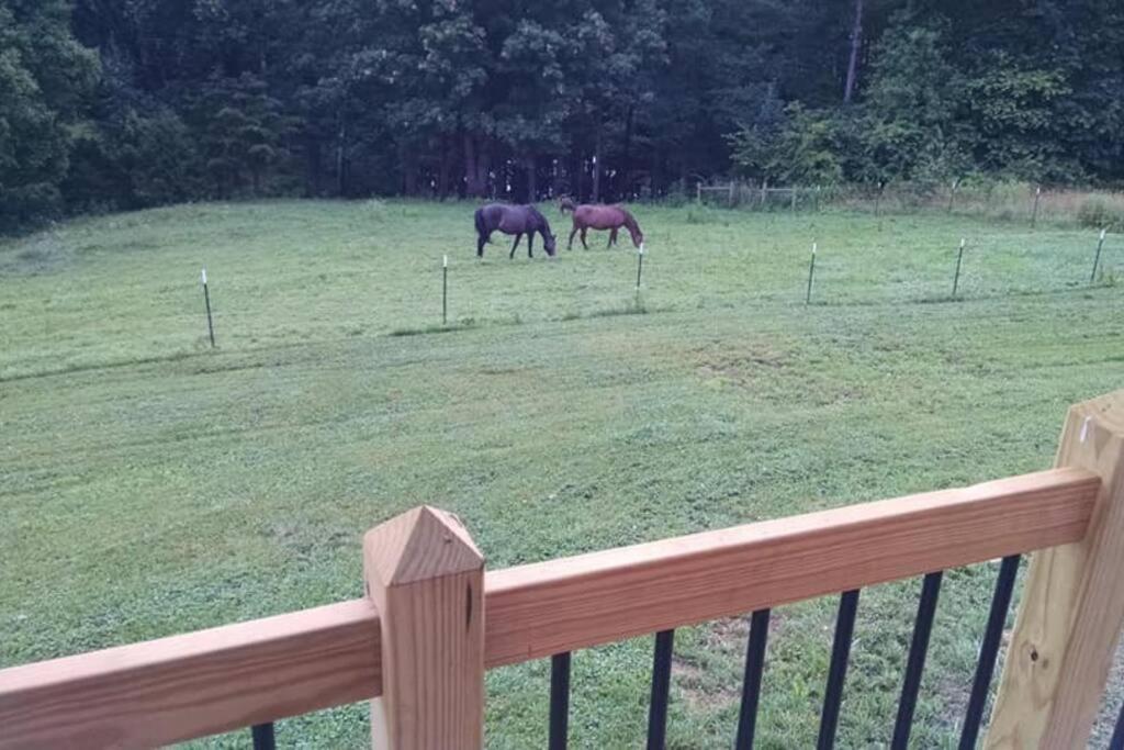 The Ranch In Mt Airy Villa Mount Airy Luaran gambar